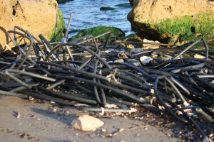 Müll am Meer