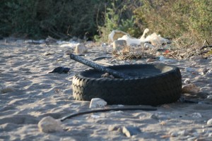 Müll am Meer