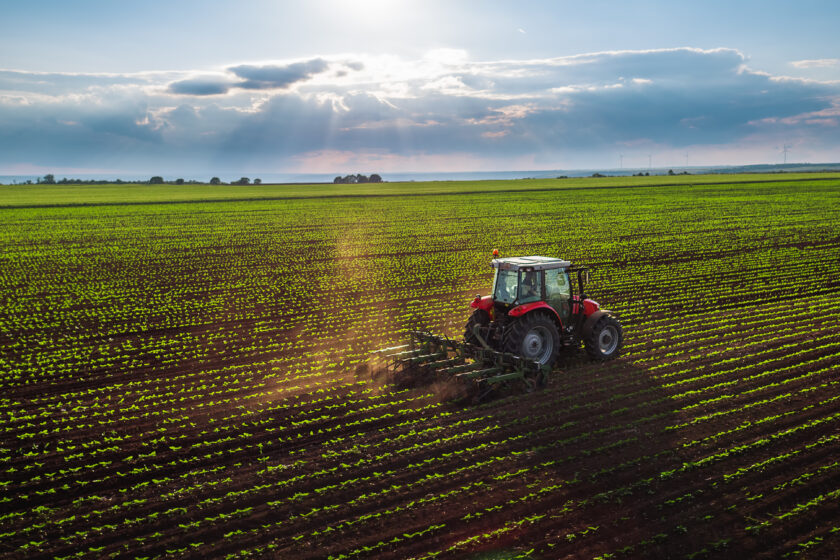 Traktor auf dem Feld
