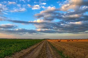 Landwirtschaft