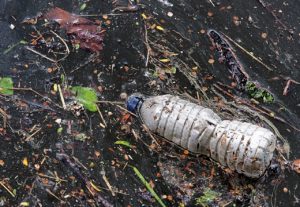 bottle-2349126_1280